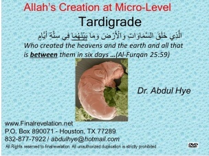 Allah's Creation at Micro-Level, Tardigrade